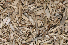 biomass boilers Walshaw